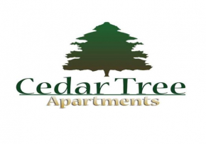 CedarTREE Prishtina